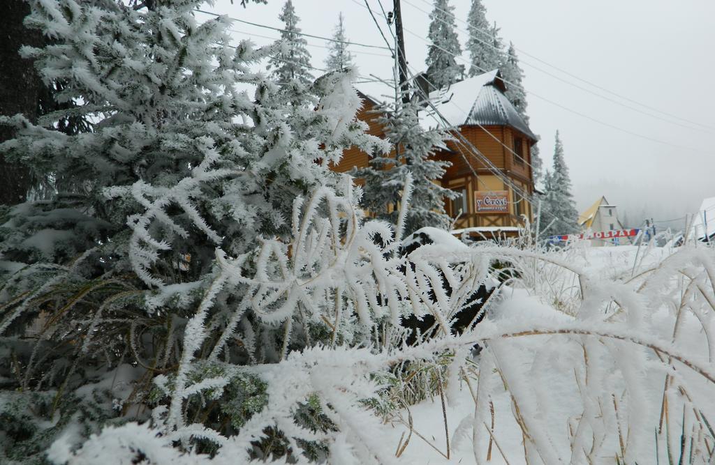 U Stozi Hotel Dragobrat Exterior photo